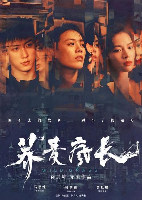 布鲁内尔大学公共管理文凭证书